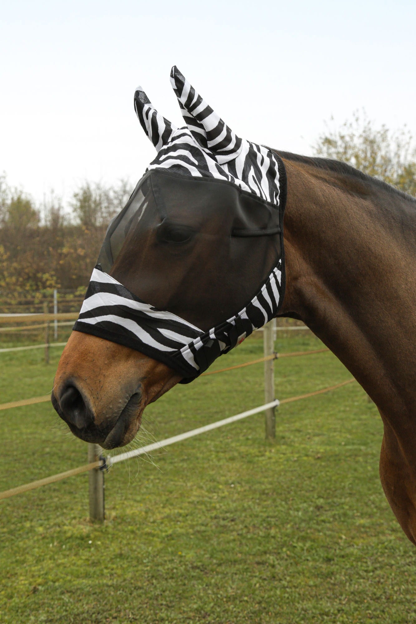 Maska przeciwowadowa dla konia z uszami Zebra Covalliero - Cavalo